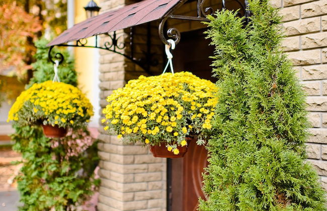 Sherborne ApartHotel - Photo 30