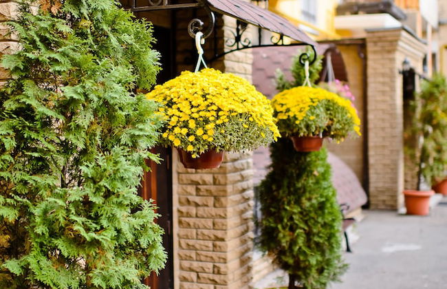 Sherborne ApartHotel - Photo 33