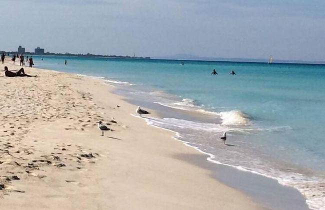 Holiday rental in Cárdenas with garden - Foto 25