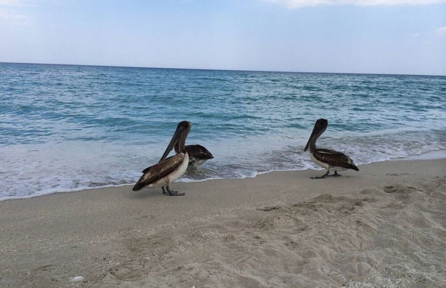 Holiday rental in Cárdenas with garden - Foto 23