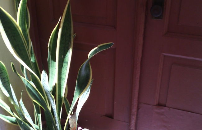 Mabel's House - Foto 30