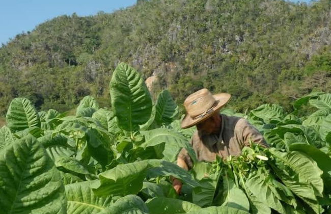 Villa El Pirry - Foto 37