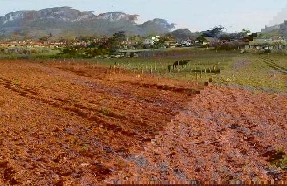 Villa El Pirry - Foto 28