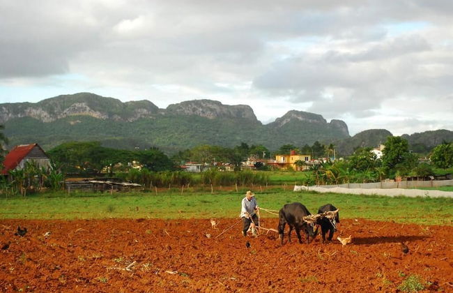 Villa El Pirry - Foto 31