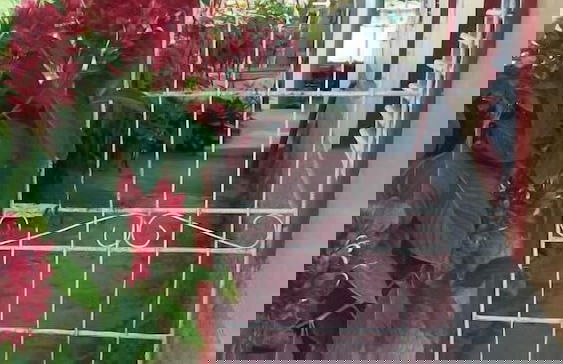 Villa El Pirry - Foto 30