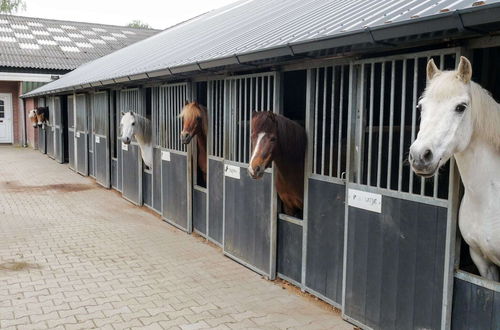 Foto 40 - Holiday Home With a View of the Riding School