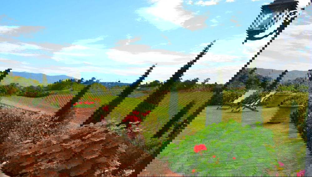 Imagem principal