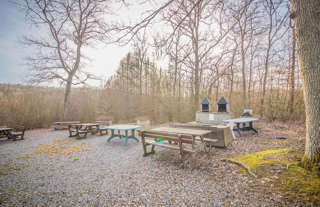 Ardennes Chalet Near Somme-leuze With Terrace - Foto 30