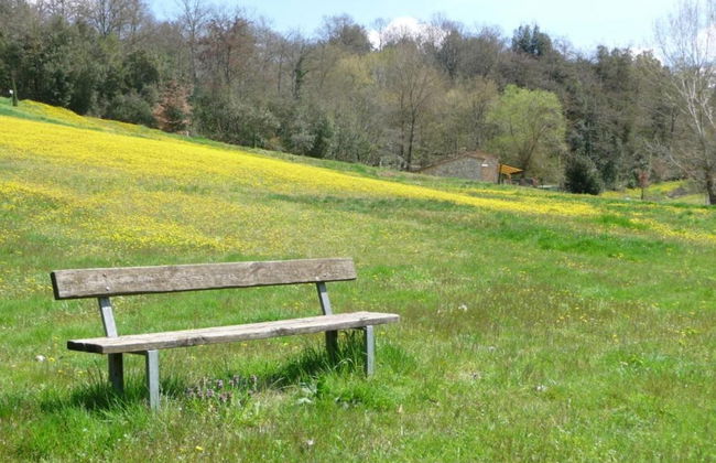Montalceto Tuscan Nest - Foto 37