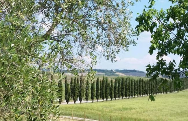 Montalceto Tuscan Nest - Foto 39