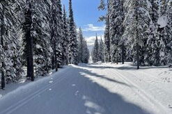 Foto 47 - Travellers Rest Cabins and RV Park