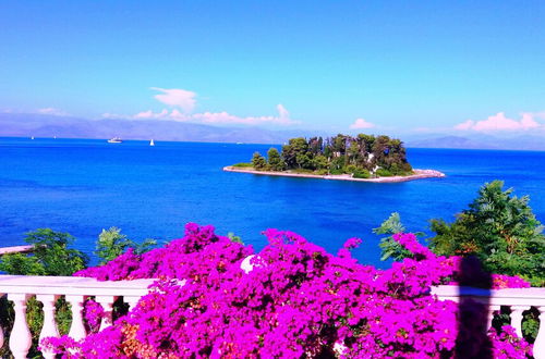 Photo 14 - Durrell Corfu Strawberry-pink Villa