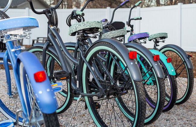 Cozy Carriage House, Walk to UNC, Free Bikes - Photo 9