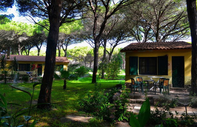 2 Ala Birdi Cottage 150m From The Beach - Foto 42