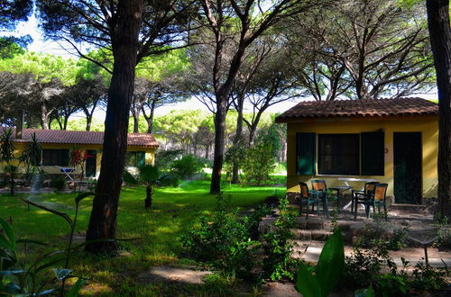 Foto 40 - 12 Ala Birdi Cottage 150m From The Beach