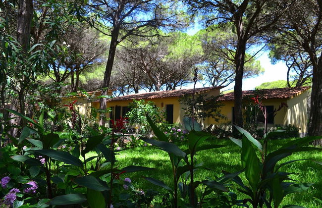 2 Ala Birdi Cottage 150m From The Beach - Foto 40