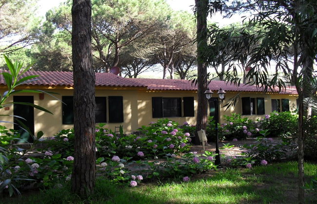 2 Ala Birdi Cottage 150m From The Beach - Foto 43