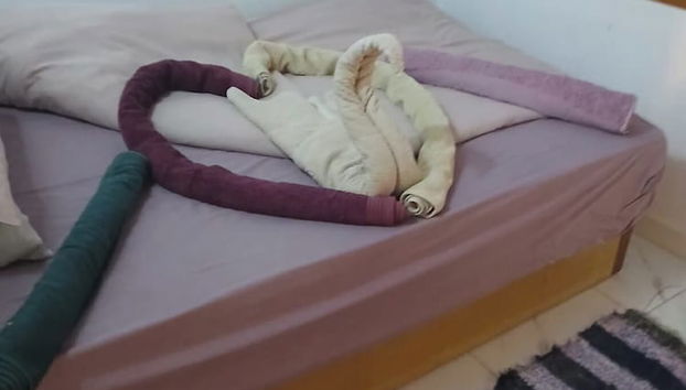 Quarto