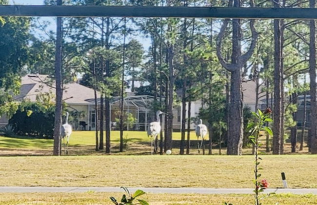 Amazing Vacation Home With Private Pool at Highland Reserve! - Foto 11