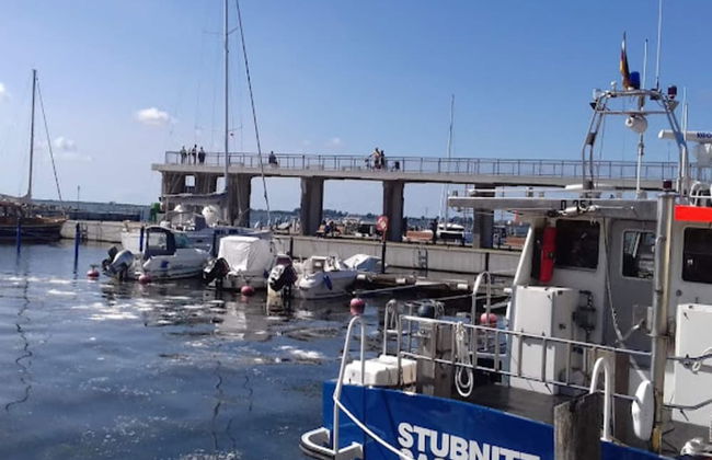 Ferienwohnung Grosser Seestern in Wiek - Photo 35