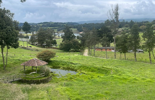 1. Cabaña Portón de Ovejas - Foto 18