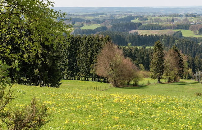 All-in Price for This Design and Comfy Home Located Near the Forest, Sauna Incl - Foto 68