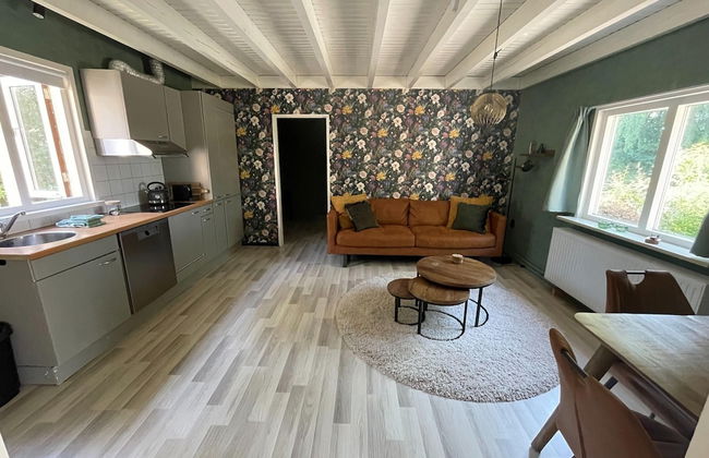 Holiday Home in Schoonloo With Balcony/terrace - Foto 68
