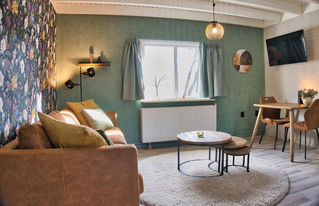 Holiday Home in Schoonloo With Balcony/terrace - Photo 80