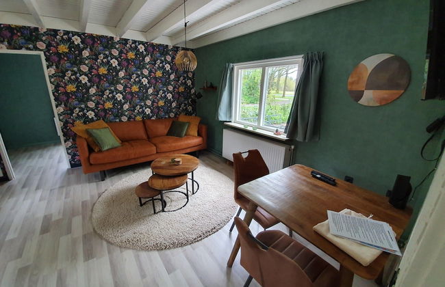 Holiday Home in Schoonloo With Balcony/terrace - Foto 69
