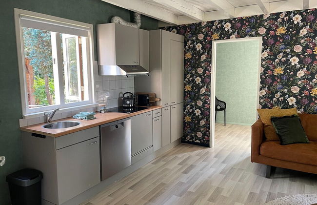 Holiday Home in Schoonloo With Balcony/terrace - Foto 42