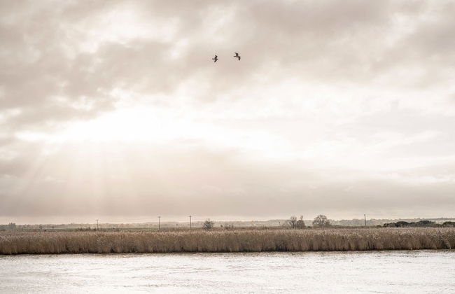 Host Stay Riverside Cottage - Photo 31