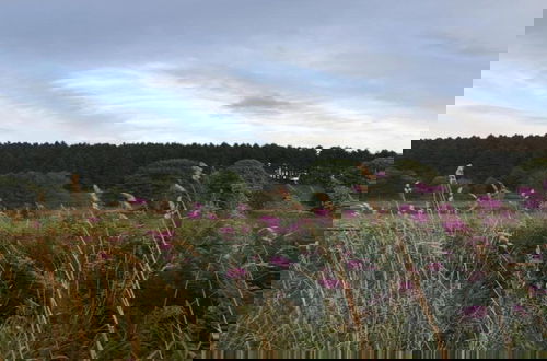 Foto 34 - Holiday Home in the Countryside Near Winterberg
