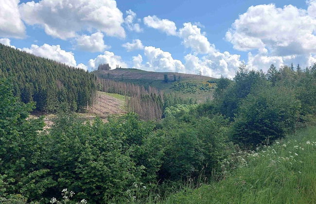 Terrace Retreat in Winterberg - Photo 21