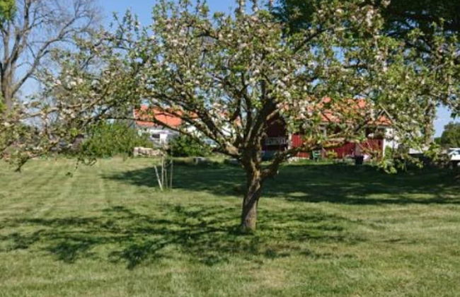 4 Star Holiday Home in Morbylanga - Foto 25
