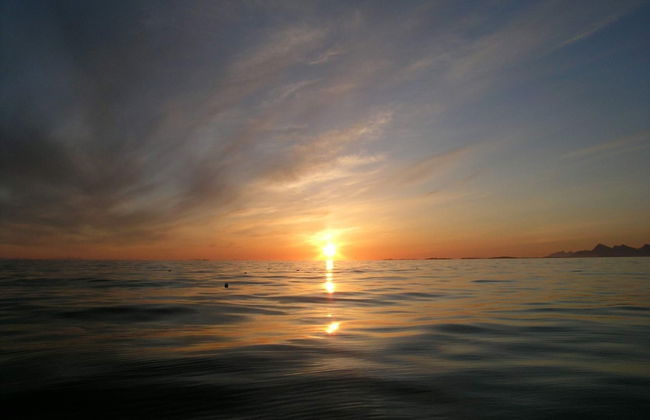 6 Person Holiday Home in Borkenes-by Traum - Foto 12