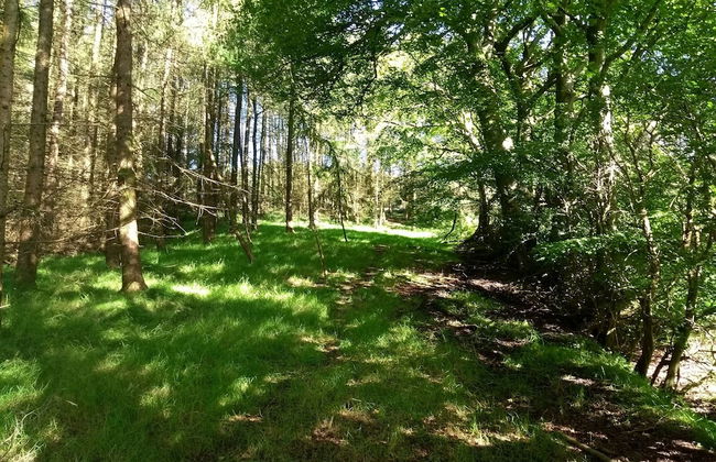 Cleeves Cabins, Arran Luxury Lodge With hot tub - Foto 18