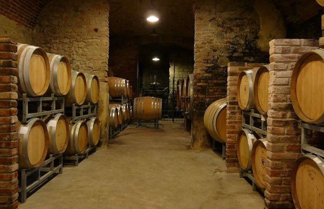 Tenuta Tenaglia - Foto 13