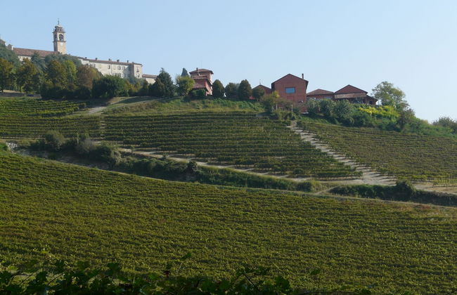 Tenuta Tenaglia - Foto 15