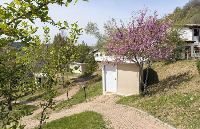 La Valle Dei Caprioli - B&B - Foto 3