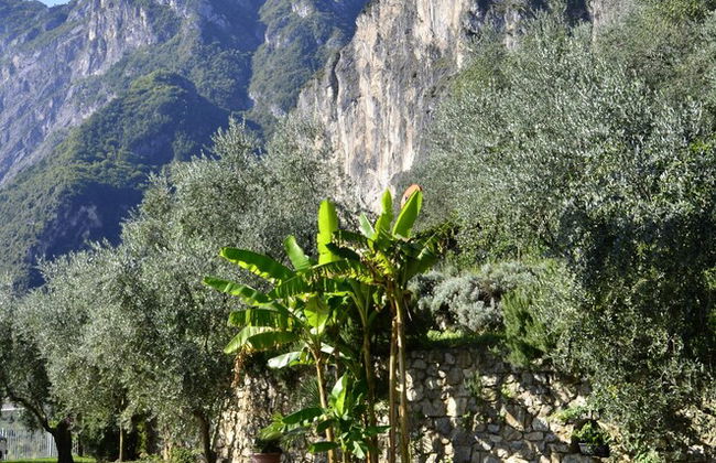 Maso Tobel Riva del Garda - Foto 65