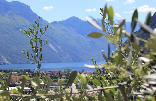 Maso Tobel Riva del Garda - Foto 64