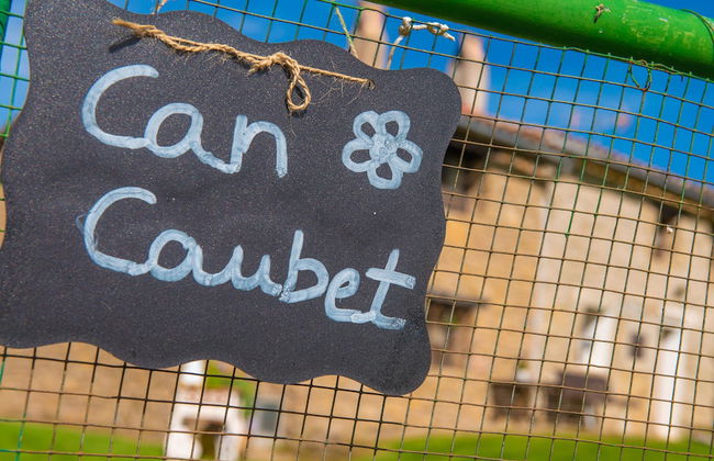 Complex Rural Can Caubet - Foto 45