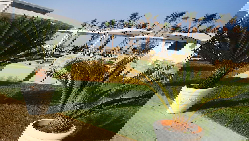 Imagem principal