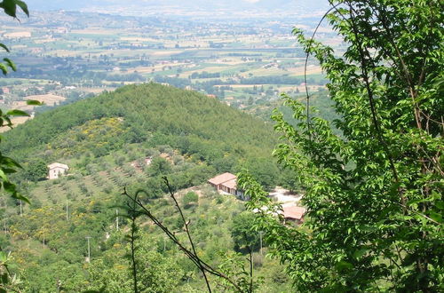 Photo 58 - Agriturismo Colleciglio