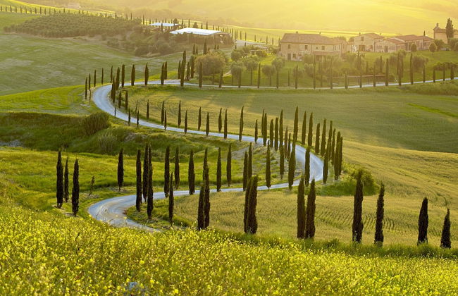 Palagio 8 in Chianti With Shared Pool - Foto 15