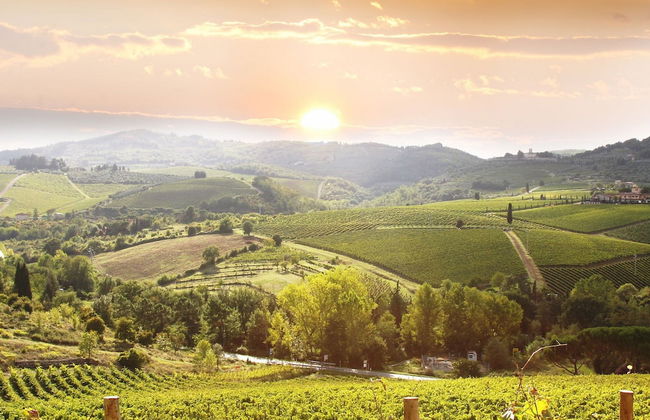 Palagio 13 in Chianti With Shared Pool - Foto 13