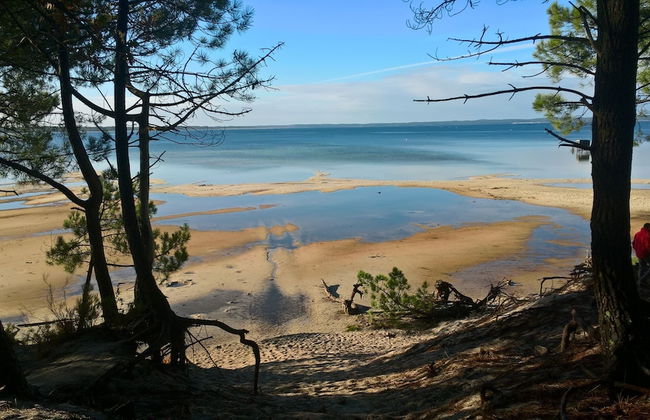 Les Calicots Sanguinet - Foto 65