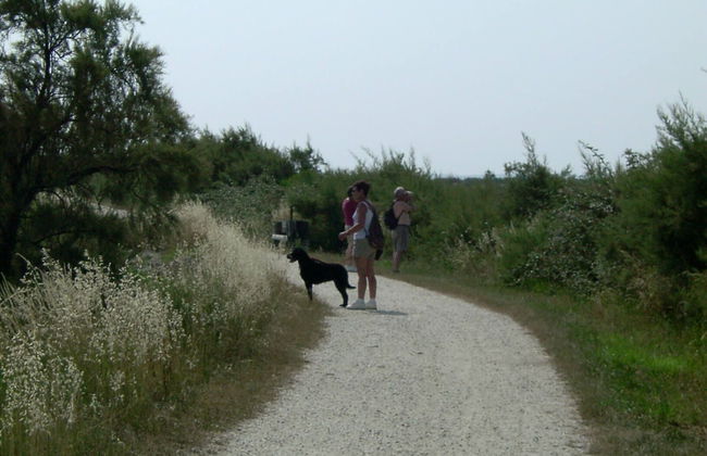 Les Calicots Sanguinet - Foto 44