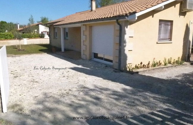 Les Calicots Sanguinet - Foto 61