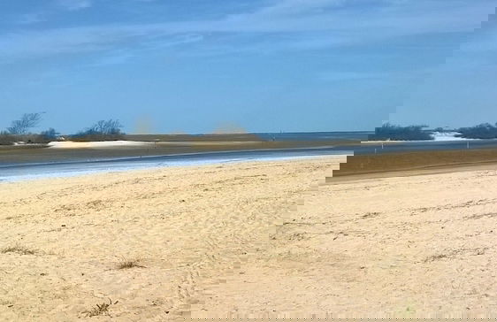 Les Calicots Sanguinet - Foto 13